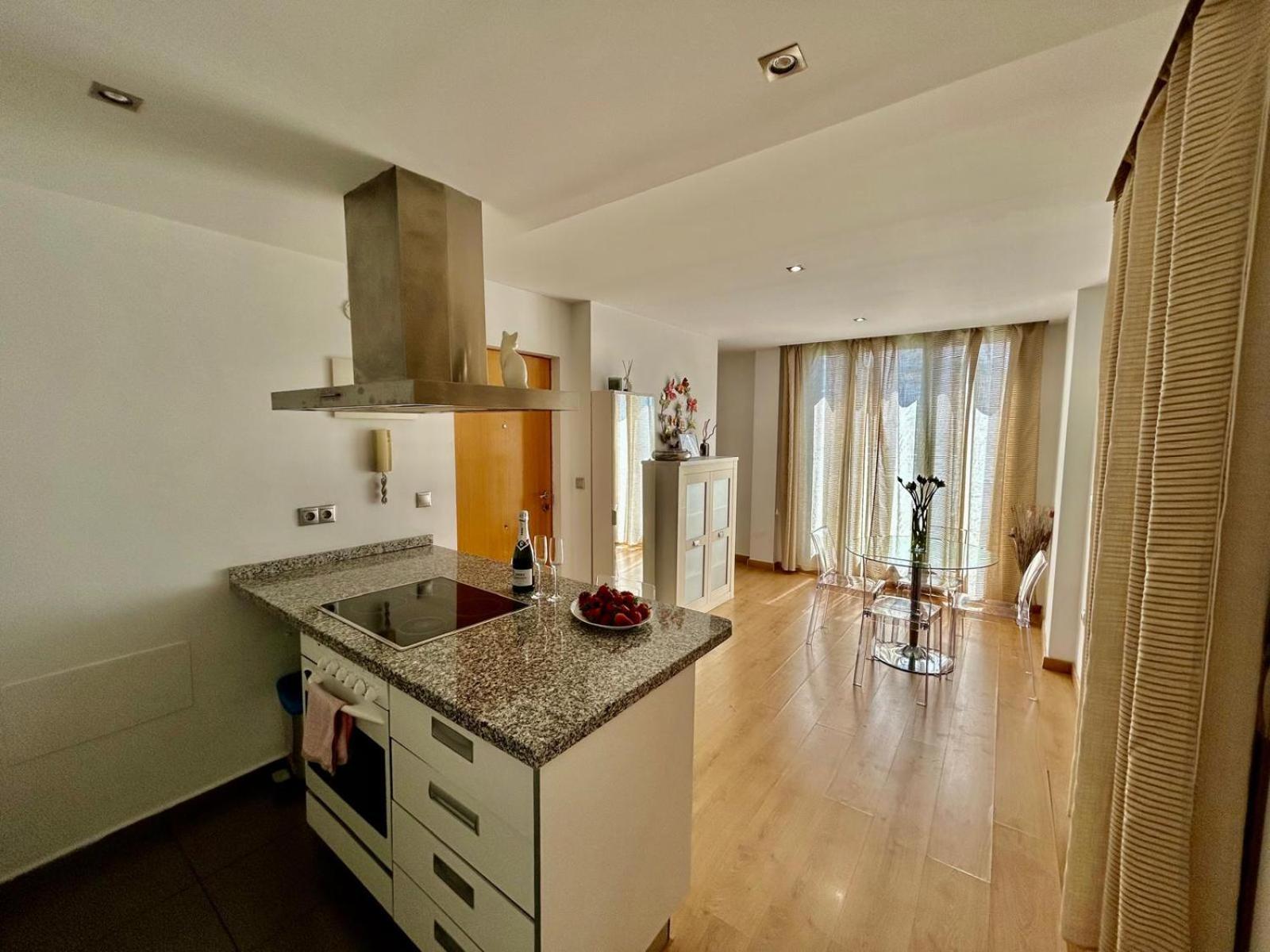 2 Big Terraces Penthouse City Center 阿利坎特 外观 照片