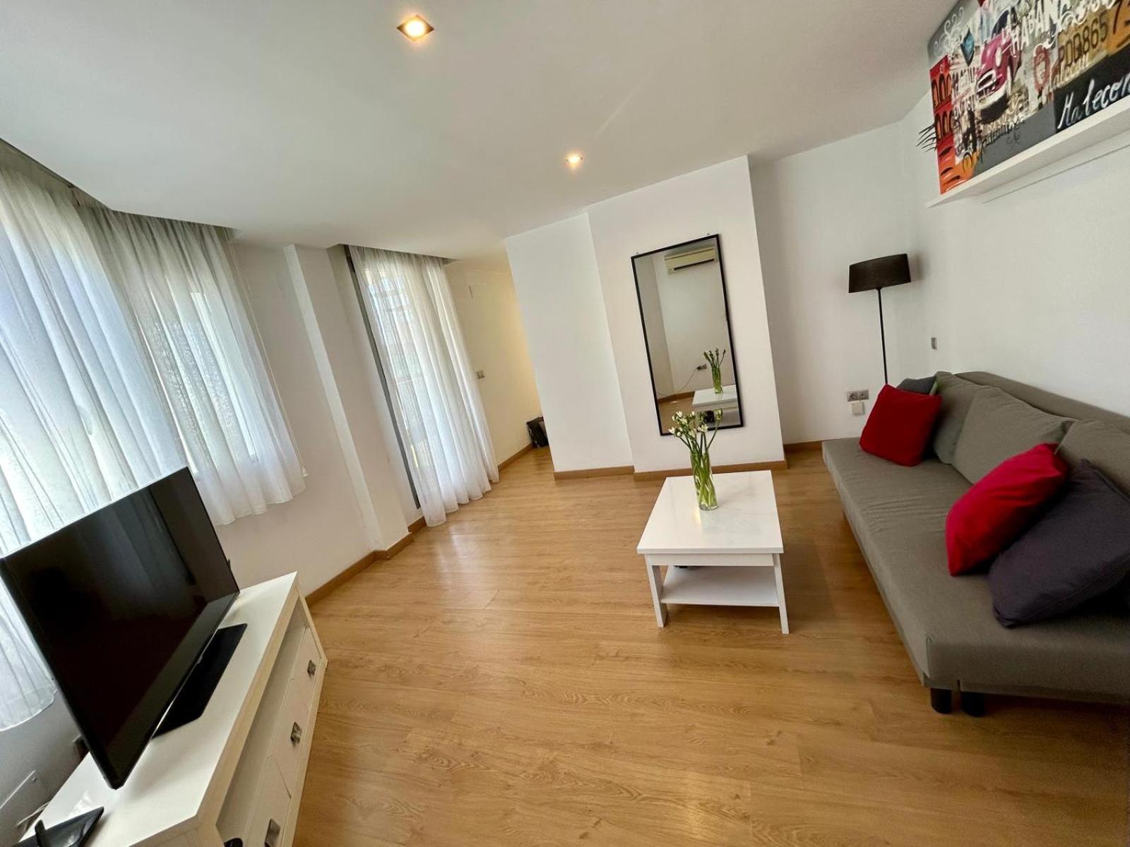 2 Big Terraces Penthouse City Center 阿利坎特 外观 照片